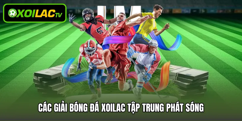 Các giải bóng đá Xoilac tập trung phát sóng