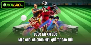 Cược Tài Xỉu Góc – Mẹo Chơi Cá Cược Hiệu Quả Từ Cao Thủ