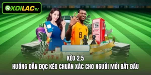 Kèo 2.5 – Hướng Dẫn Đọc Kèo Chuẩn Xác Cho Người Mới Bắt Đầu